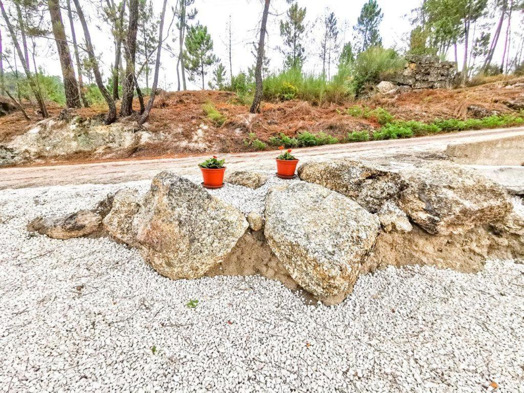 فيلا O Refugio كويمبرا المظهر الخارجي الصورة